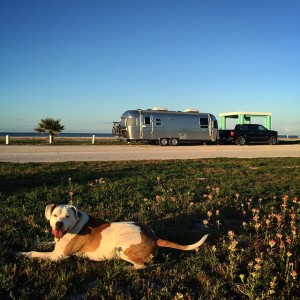 Amazing free camping spot right on the water in Magnolia Beach, Texas. Thor approved.